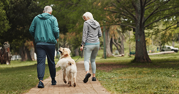 Older man and wife happily walking their dog